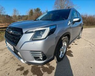 Subaru Forester Gebrauchtwagen