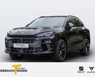 Cupra Terramar Gebrauchtwagen
