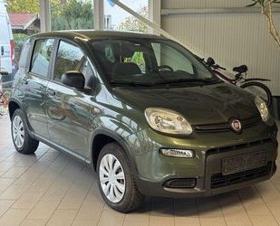 Fiat Panda Gebrauchtwagen