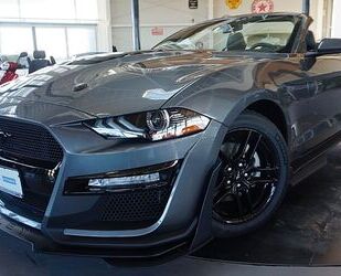 Ford Ford Mustang 2.3 EcoBoost Shelby GT 500 look*Aut. Gebrauchtwagen