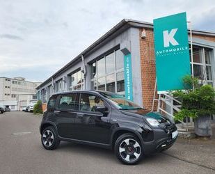 Fiat Panda Gebrauchtwagen