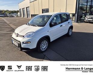 Fiat Panda Gebrauchtwagen