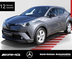 Toyota C-HR Gebrauchtwagen