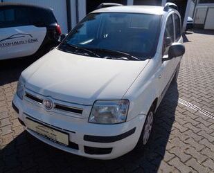 Fiat Panda Gebrauchtwagen