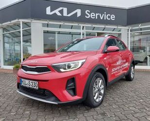 Kia Stonic Gebrauchtwagen