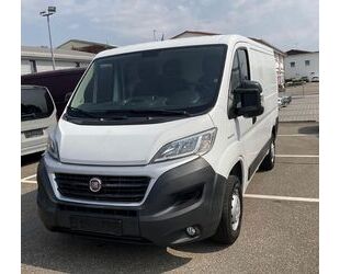 Fiat Ducato Gebrauchtwagen