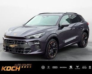 Cupra Terramar Gebrauchtwagen