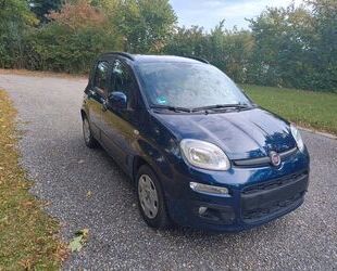 Fiat Panda Gebrauchtwagen