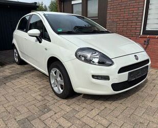Fiat Punto Gebrauchtwagen