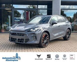 Cupra Terramar Gebrauchtwagen