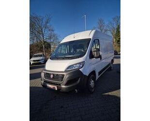 Fiat Ducato Gebrauchtwagen
