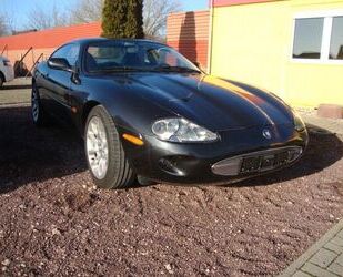 Jaguar XK8 Gebrauchtwagen