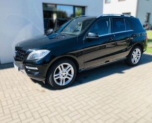Mercedes-Benz ML 250 Gebrauchtwagen