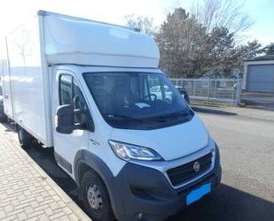 Fiat Ducato Gebrauchtwagen