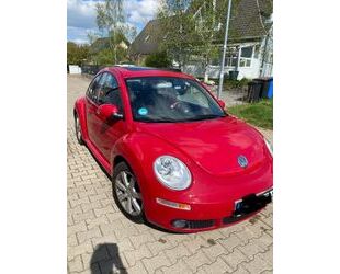 VW New Beetle Gebrauchtwagen