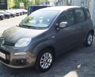 Fiat Panda Gebrauchtwagen