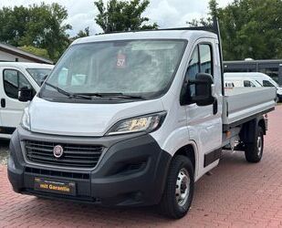 Fiat Ducato Gebrauchtwagen