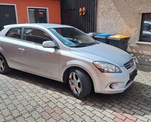Kia pro ceed / ProCeed Gebrauchtwagen