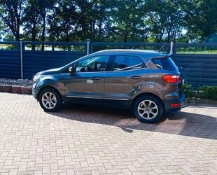 Ford EcoSport Gebrauchtwagen