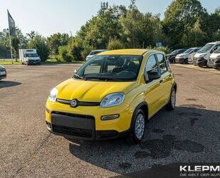 Fiat Panda Gebrauchtwagen