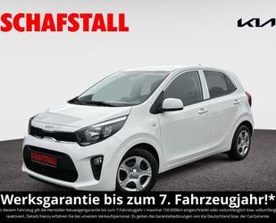 Kia Picanto Gebrauchtwagen