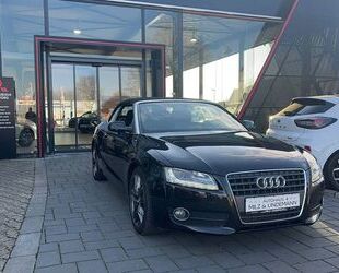 Audi A5 Gebrauchtwagen