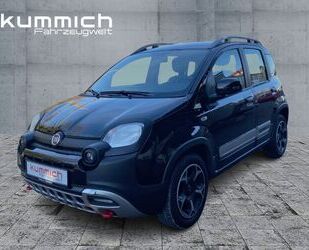 Fiat Panda Gebrauchtwagen