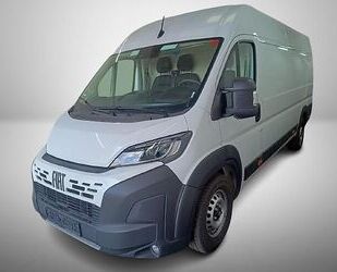 Fiat Ducato Gebrauchtwagen