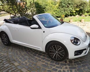 VW Beetle Gebrauchtwagen
