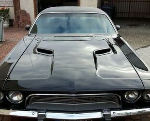 Dodge Challenger Gebrauchtwagen