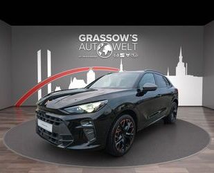 Cupra Terramar Gebrauchtwagen