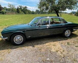 Jaguar XJ6 Gebrauchtwagen