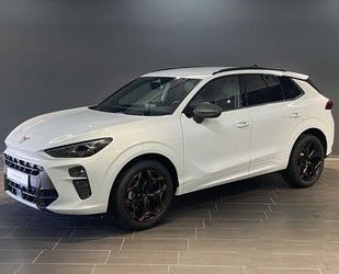 Cupra Terramar Gebrauchtwagen