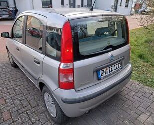 Fiat Panda Gebrauchtwagen