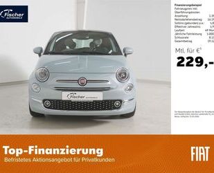 Fiat 500 Gebrauchtwagen