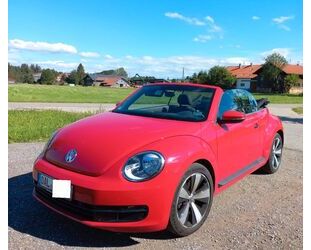 VW Beetle Gebrauchtwagen