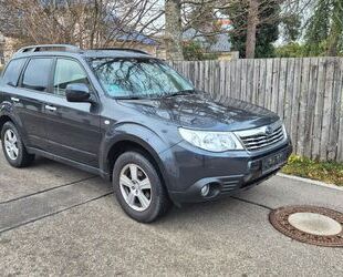 Subaru Forester Gebrauchtwagen