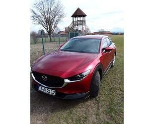 Mazda CX-30 Gebrauchtwagen