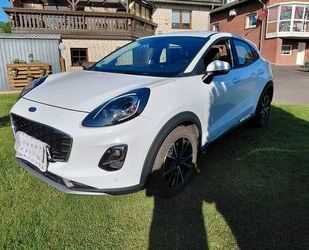 Ford Puma Gebrauchtwagen