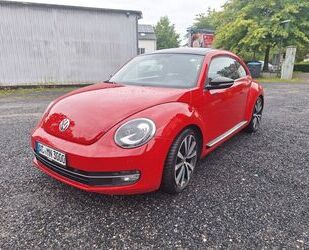 VW Beetle Gebrauchtwagen