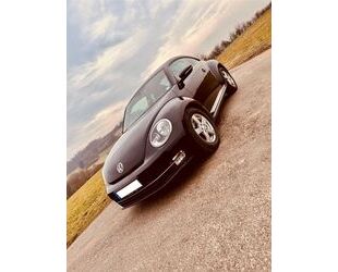 VW Beetle Gebrauchtwagen