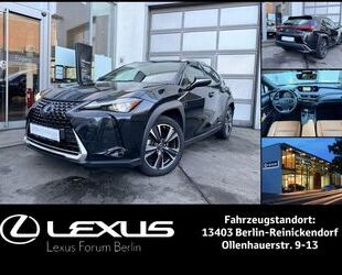 Lexus UX Gebrauchtwagen