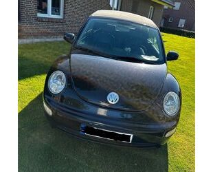 VW Beetle Gebrauchtwagen