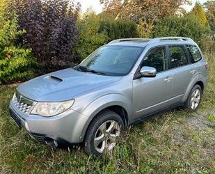 Subaru Forester Gebrauchtwagen