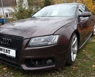 Audi A5 Gebrauchtwagen