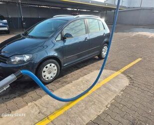 VW Golf Plus Gebrauchtwagen