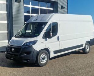 Fiat Ducato Gebrauchtwagen