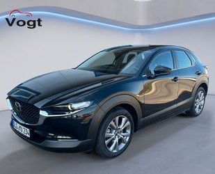 Mazda CX-30 Gebrauchtwagen