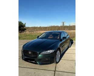 Jaguar XF Gebrauchtwagen