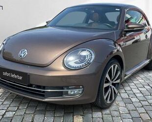 VW Beetle Gebrauchtwagen